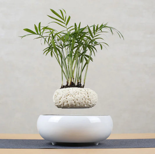 Floating Flower Pot for Home Decor
